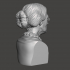 Susan B. Anthony - High-Quality STL File for 3D Printing (PERSONAL USE) image