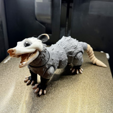 Picture of print of Opossum, Articulated fidget, Print-In-Place Body, Snap-Fit Assembly, Cute Flexi