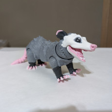 Picture of print of Opossum, Articulated fidget, Print-In-Place Body, Snap-Fit Assembly, Cute Flexi