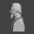 Alan Watts - High-Quality STL File for 3D Printing (PERSONAL USE) image