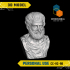 Aristotle - High-Quality STL File for 3D Printing (PERSONAL USE) image