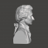 Thomas Paine - High-Quality STL File for 3D Printing (PERSONAL USE) image