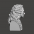 Voltaire - High-Quality STL File for 3D Printing (PERSONAL USE) image