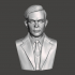 Alan Turing - High-Quality STL File for 3D Printing (PERSONAL USE) image