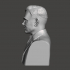 Alan Turing - High-Quality STL File for 3D Printing (PERSONAL USE) image
