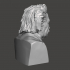 Albert Einstein - High-Quality STL File for 3D Printing (PERSONAL USE) image