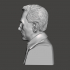Alexander Fleming - High-Quality STL File for 3D Printing (PERSONAL USE) image