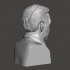 Alexander Fleming - High-Quality STL File for 3D Printing (PERSONAL USE) image