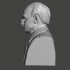Carl Jung - High-Quality STL File for 3D Printing (PERSONAL USE) image