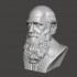 Charles Darwin - High-Quality STL File for 3D Printing (PERSONAL USE) image