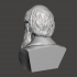 Charles Darwin - High-Quality STL File for 3D Printing (PERSONAL USE) image