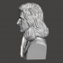 Isaac Newton - High-Quality STL File for 3D Printing (PERSONAL USE) image