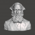James Clerk Maxwell - High-Quality STL File for 3D Printing (PERSONAL USE) image