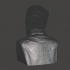 Louis Pasteur - High-Quality STL File for 3D Printing (PERSONAL USE) image
