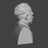Otto Hahn - High-Quality STL File for 3D Printing (PERSONAL USE) image