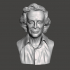 Richard Feynman - High-Quality STL File for 3D Printing (PERSONAL USE) image