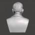 Sigmund Freud - High-Quality STL File for 3D Printing (PERSONAL USE) image