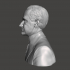 Calvin Coolidge - High-Quality STL File for 3D Printing (PERSONAL USE) image