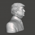 Donald Trump - High-Quality STL File for 3D Printing (PERSONAL USE) image