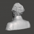 Franklin Pierce - High-Quality STL File for 3D Printing (PERSONAL USE) image