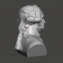 George Washington - High-Quality STL File for 3D Printing (PERSONAL USE) image