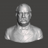 Grover Cleveland - High-Quality STL File for 3D Printing (PERSONAL USE) image