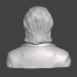 James K. Polk - High-Quality STL File for 3D Printing (PERSONAL USE) image