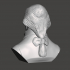 James Madison - High-Quality STL File for 3D Printing (PERSONAL USE) image