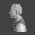 Joe Biden - High-Quality STL File for 3D Printing (PERSONAL USE) image