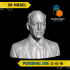 Joe Biden - High-Quality STL File for 3D Printing (PERSONAL USE) image