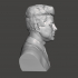 John F. Kennedy - High-Quality STL File for 3D Printing (PERSONAL USE) image
