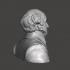 Martin Van Buren - High-Quality STL File for 3D Printing (PERSONAL USE) image