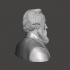 Rutherford B. Hayes - High-Quality STL File for 3D Printing (PERSONAL USE) image