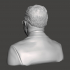 Theodore Roosevelt - High-Quality STL File for 3D Printing (PERSONAL USE) image