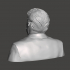 William Howard Taft - High-Quality STL File for 3D Printing (PERSONAL USE) image
