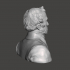 Zachary Taylor - High-Quality STL File for 3D Printing (PERSONAL USE) image