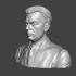 Aldous Huxley - High-Quality STL File for 3D Printing (PERSONAL USE) image