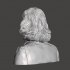 Anne Frank - High-Quality STL File for 3D Printing (PERSONAL USE) image