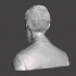 D.H. Lawrence - High-Quality STL File for 3D Printing (PERSONAL USE) image