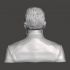 Herman Melville - High-Quality STL File for 3D Printing (PERSONAL USE) image