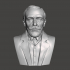 Joseph Conrad - High-Quality STL File for 3D Printing (PERSONAL USE) image