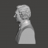 Lewis Carrol - High-Quality STL File for 3D Printing (PERSONAL USE) image