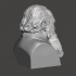 John Dalhberg-Acton - High-Quality STL File for 3D Printing (PERSONAL USE) image