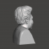 Maya Angelou - High-Quality STL File for 3D Printing (PERSONAL USE) image