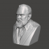 Orson Welles - High-Quality STL File for 3D Printing (PERSONAL USE) image