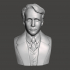 Robert Frost - High-Quality STL File for 3D Printing (PERSONAL USE) image