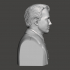 Robert Frost - High-Quality STL File for 3D Printing (PERSONAL USE) image