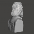 Walt Whitman - High-Quality STL File for 3D Printing (PERSONAL USE) image