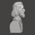 Walt Whitman - High-Quality STL File for 3D Printing (PERSONAL USE) image
