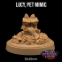 Lucy, Pet Mimic | PRESUPPORTED | Hero Hunters Lodge image